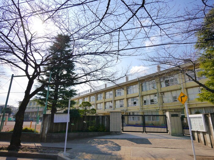 八坂小学校(小学校)まで290m リヴイン八坂台