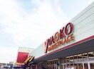 ヤオコー 狭山店(スーパー)まで800m コーポヒロセ