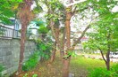 室内からの展望 HAKU－AN