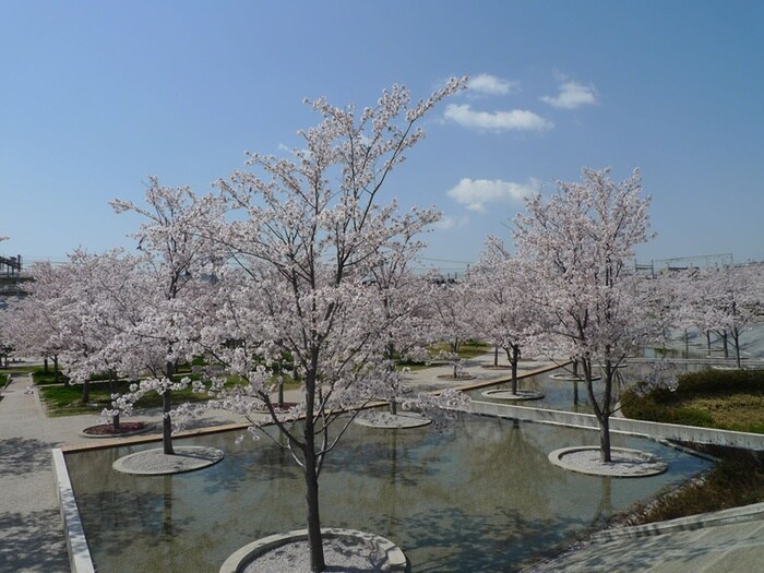 さくら広場(公園)まで600m 茅ヶ崎市代官町戸建