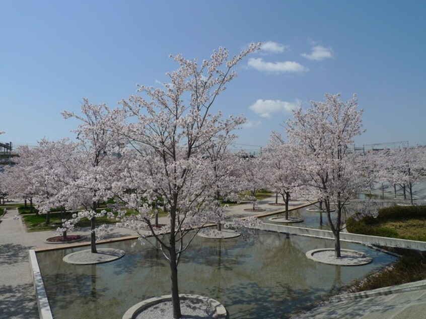 さくら広場(公園)まで600m 茅ヶ崎市代官町戸建