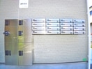 その他 afn-xx