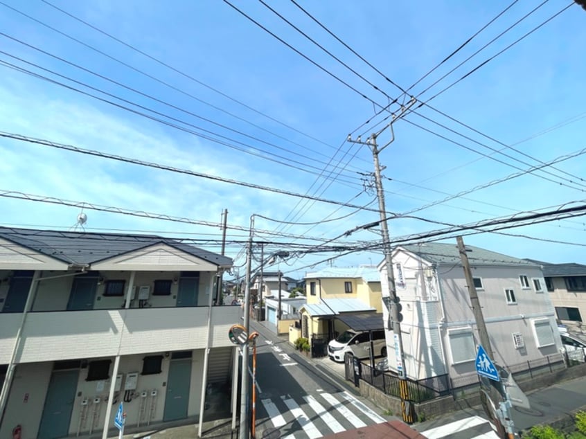室内からの展望 パイングローブ