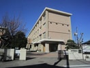 藤沢市立鵠沼中学校(中学校/中等教育学校)まで800m パイングローブ