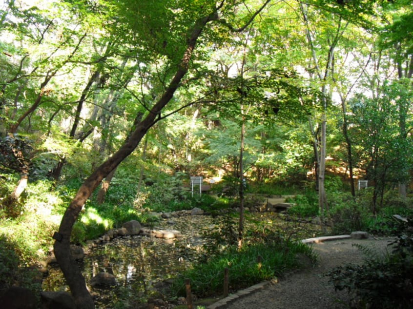 おとめ山公園(公園)まで370m 目白台ビル