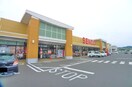 ＳＥＮＤＯ(スーパー)まで2000m リバ－サイドいすみ