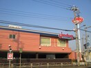 ジョナサン 八王子大横町店(その他飲食（ファミレスなど）)まで392m グリ－ンコ－ポ