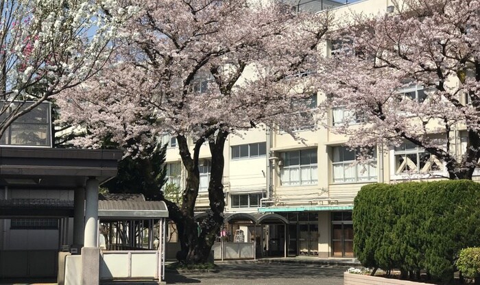 区立大泉学園中学校(中学校/中等教育学校)まで1000m グランチノ学園町