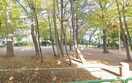 区立大泉公園(公園)まで240m グランチノ学園町