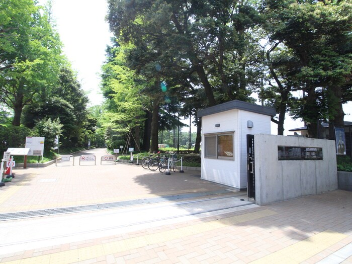 石神井松の風文化公園(公園)まで260m カスタレッサ