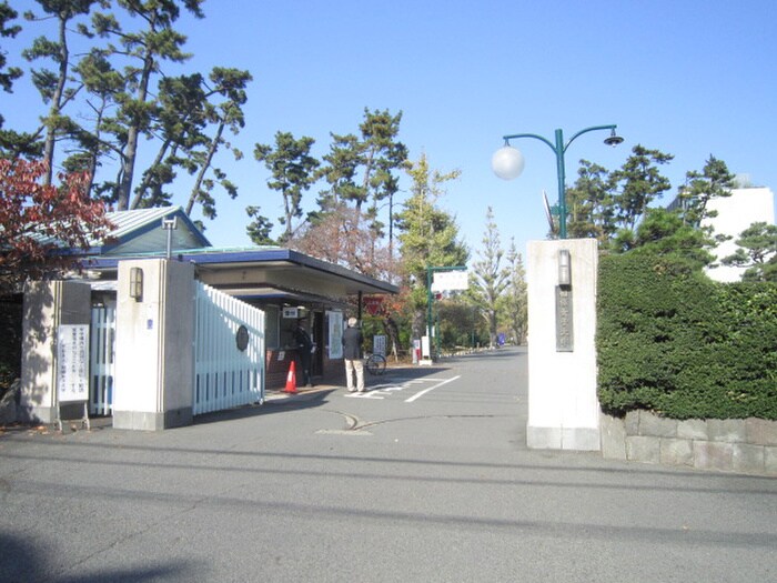 相模女子大(大学/短大/専門学校)まで390m ロッシェル東林間Ⅰ