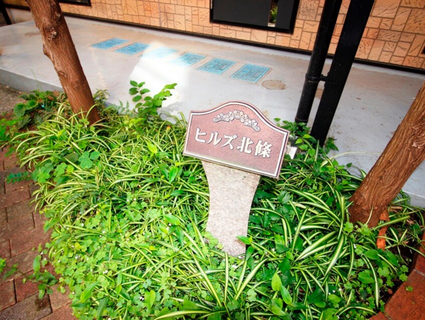 その他 ヒルズＨＯＪＯ