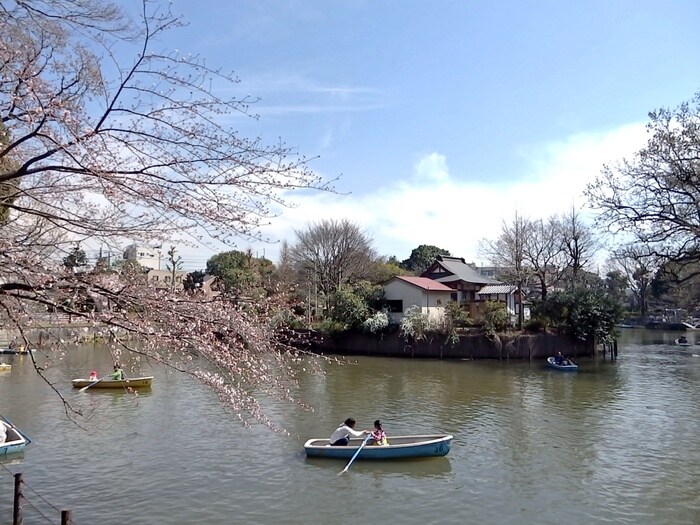 碑文谷公園(公園)まで189m グレ－ス下馬