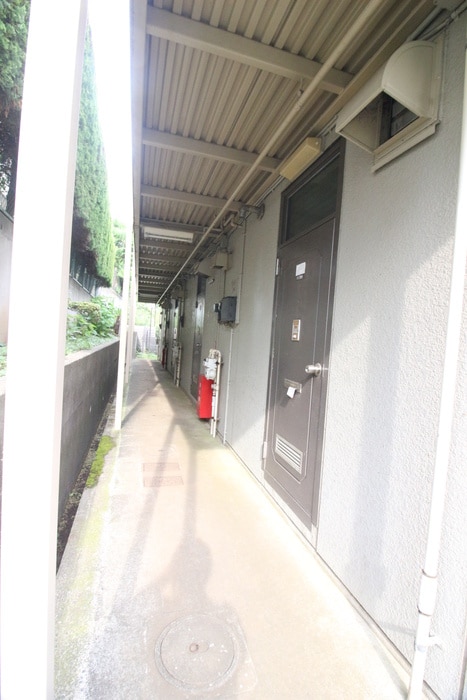 その他 サングリーン