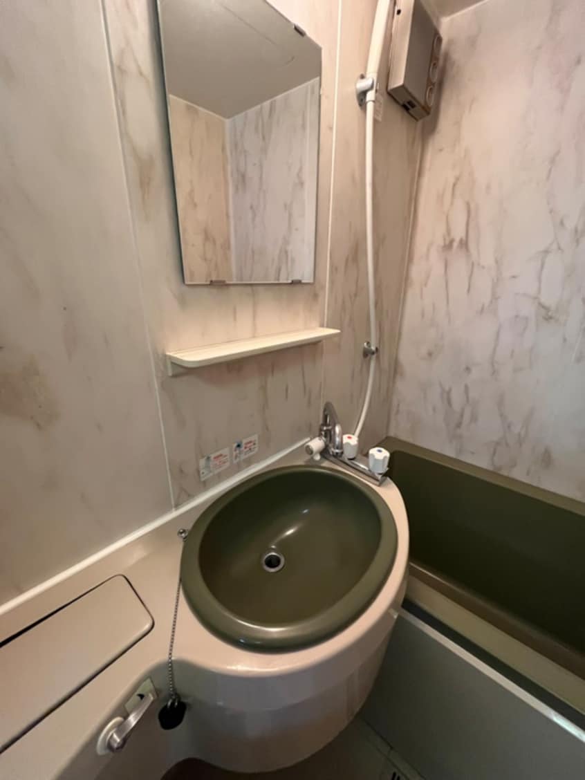 洗面 サングリーン