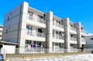 シミズマンションの外観