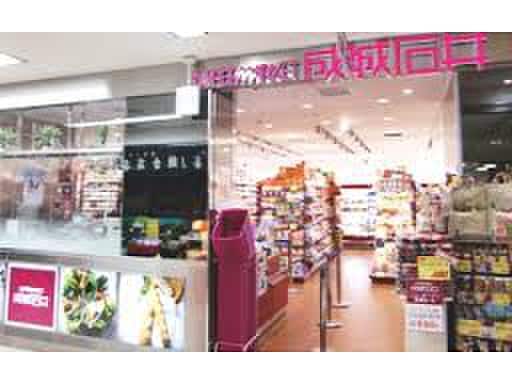 成城石井 ビーンズ新杉田店(スーパー)まで532m Villege磯子Ⅰ