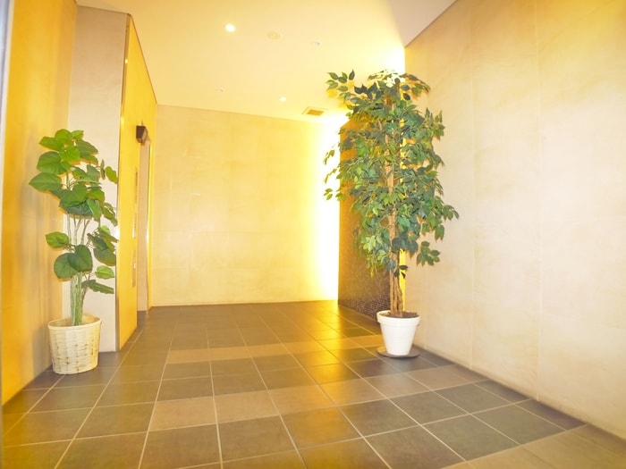 エントランス部分 カスタリア三ノ輪