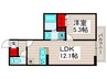 グラナーデ扇Ⅲ 1LDKの間取り
