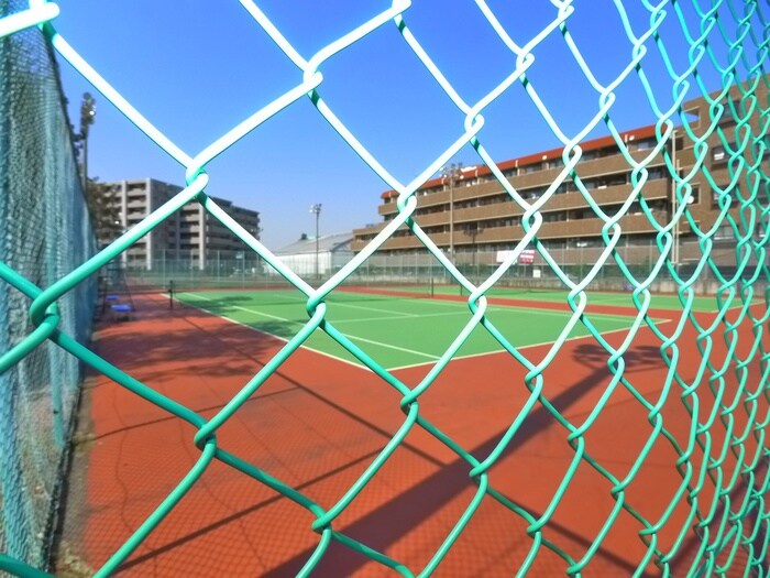 ひまわりテニスクラブ(公園)まで654m クラッセ高砂