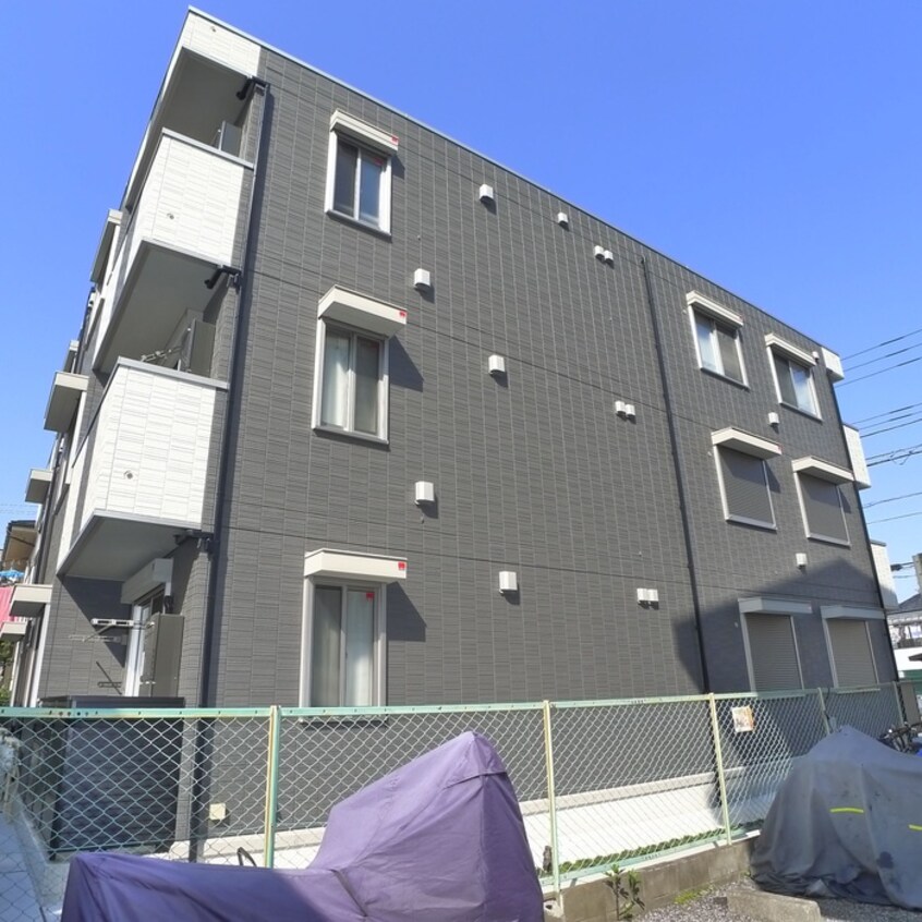 その他 GOLDEN　RINGS　１　２