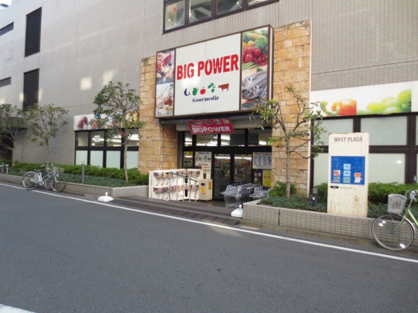 BIG POWER 湘南台店(スーパー)まで559m サンパレス湘南