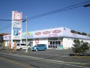 ウェルパーク 下九沢店(ドラッグストア)まで1000m リルゥ