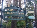 三鷹の森ジブリ美術館(公園)まで555m ボニータ