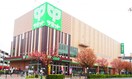 サミットストア 東長崎店(スーパー)まで246m クレメントハウス
