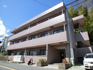 ベルバージェあざみ