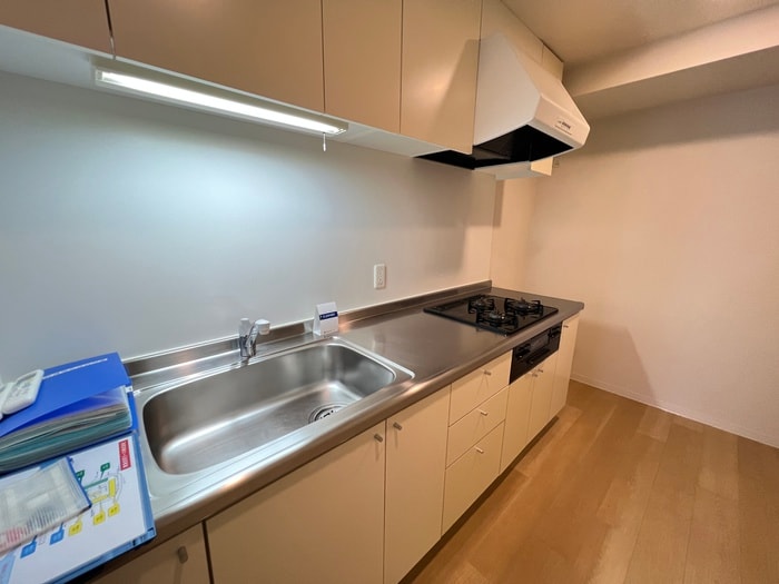 キッチン 東雲ｷｬﾅﾙｺ-ﾄCODAN16号棟