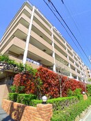 ｺｽﾓ与野ｶﾞ-ﾃﾞﾝｼﾃｨ参番館(102)の外観