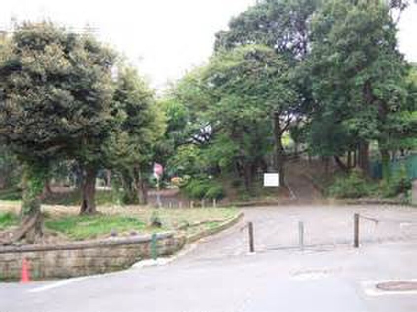 野毛山公園(公園)まで600m ツジビル