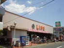 ライフ(スーパー)まで230m プチメゾンココ