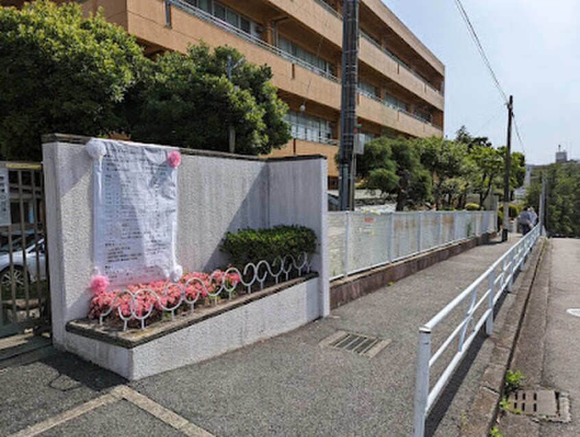 横浜市立東小学校(小学校)まで150m ヒルトップ野毛山