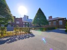 立教大学(大学/短大/専門学校)まで333m 西池袋グリーンハイツ
