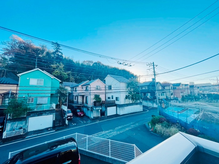 室内からの展望 グレースランド