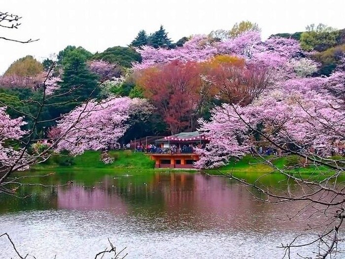 三ツ池公園(公園)まで705m クレ－ル上末吉