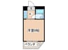 白樺マンション 1Kの間取り