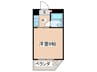 白樺マンション 1Kの間取り