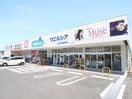 ウェルシア富士見鶴馬店(ドラッグストア)まで430m クレストみずほ台