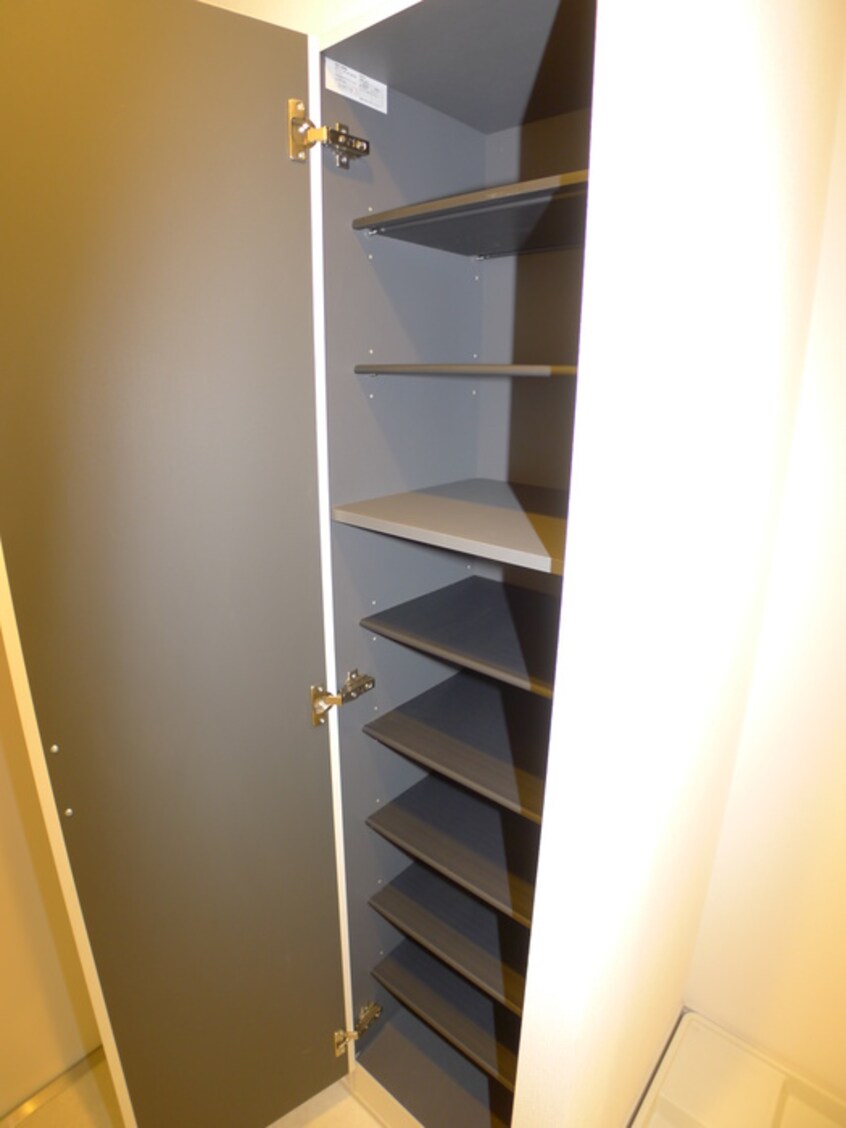 靴箱 リブリ・ガバナー