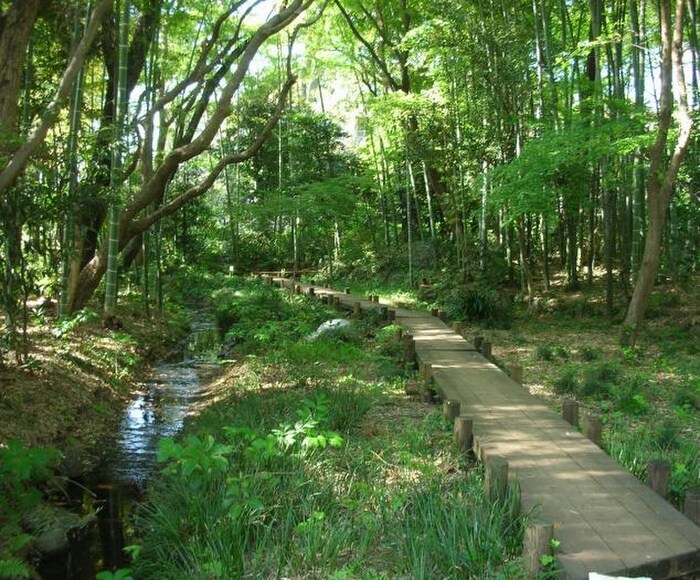 瀬田4丁目広場(公園)まで694m カル・フール瀬田