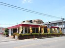 ガスト 富士見関沢店(その他飲食（ファミレスなど）)まで650m 鶴馬戸建3丁目3号