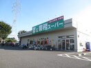 業務スーパー 南加瀬店(スーパー)まで224m ルピナスＫ