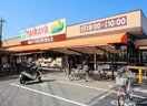 ＴＡＩＲＡＹＡ羽沢店(スーパー)まで450m サリーレＢ