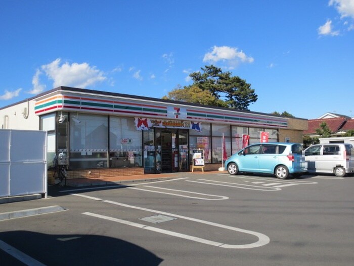 セブンイレブン 平塚寺田縄店(ドラッグストア)まで230m 豊田ハイツ２号