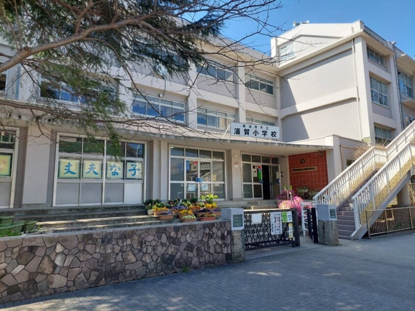 横須賀市立浦賀小学校(小学校)まで1300m 東浦賀2丁目戸建