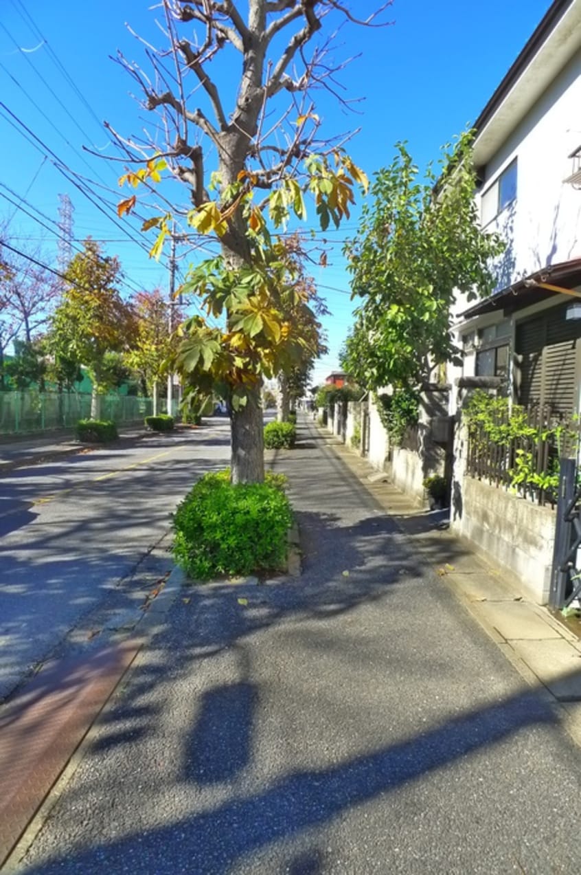 周辺環境 渡辺ハイツ