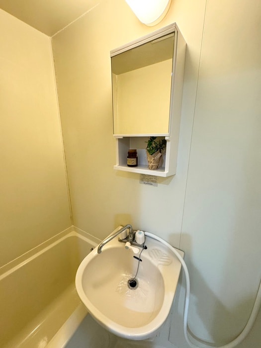 洗面 ロジェハイツⅢ